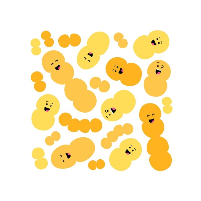 发酵菌种之罗伊氏乳杆菌