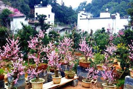 深藏不露的古村落安徽,皖南歙县古村落