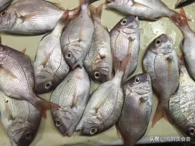 常见的鱼虾蟹等海鲜的认识,虾蟹类海鲜大全