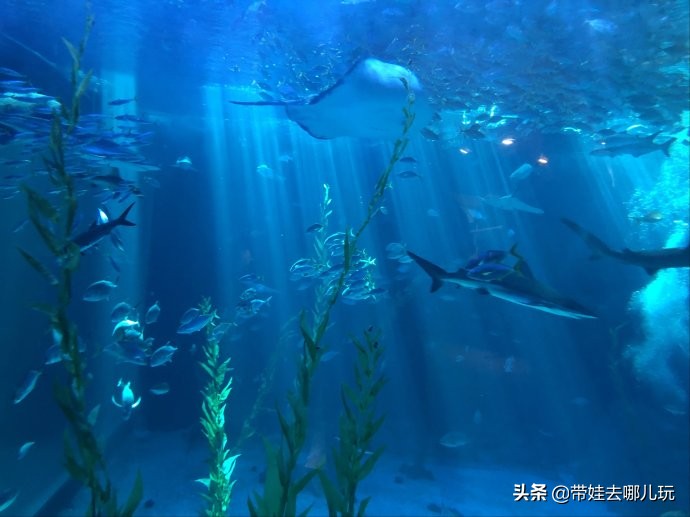 5天小长假国内飞海外,小长假出境游