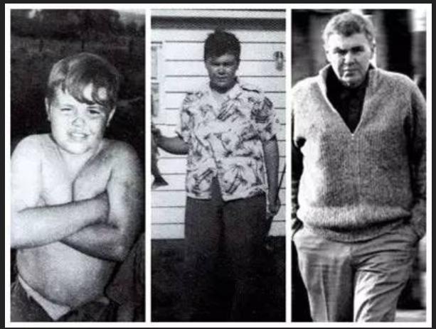 雷蒙德钱德勒书讲解,论雷蒙德卡佛短篇小说创作