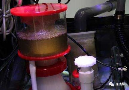 为什么海缸不建议用蛋分,海缸蛋分器正确摆放