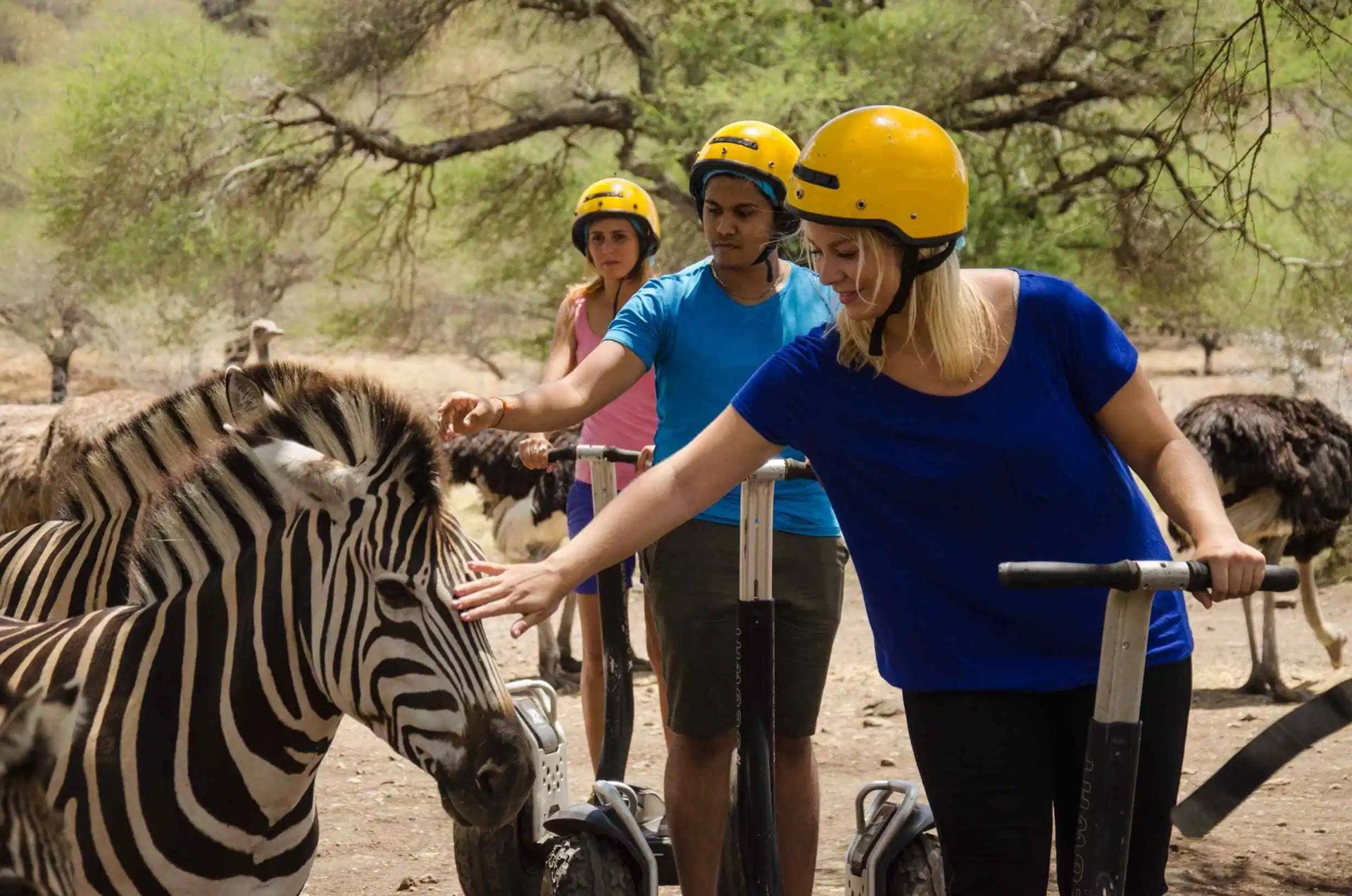 毛里求斯旅游攻略最新完整指南,毛里求斯旅游攻略大全免费