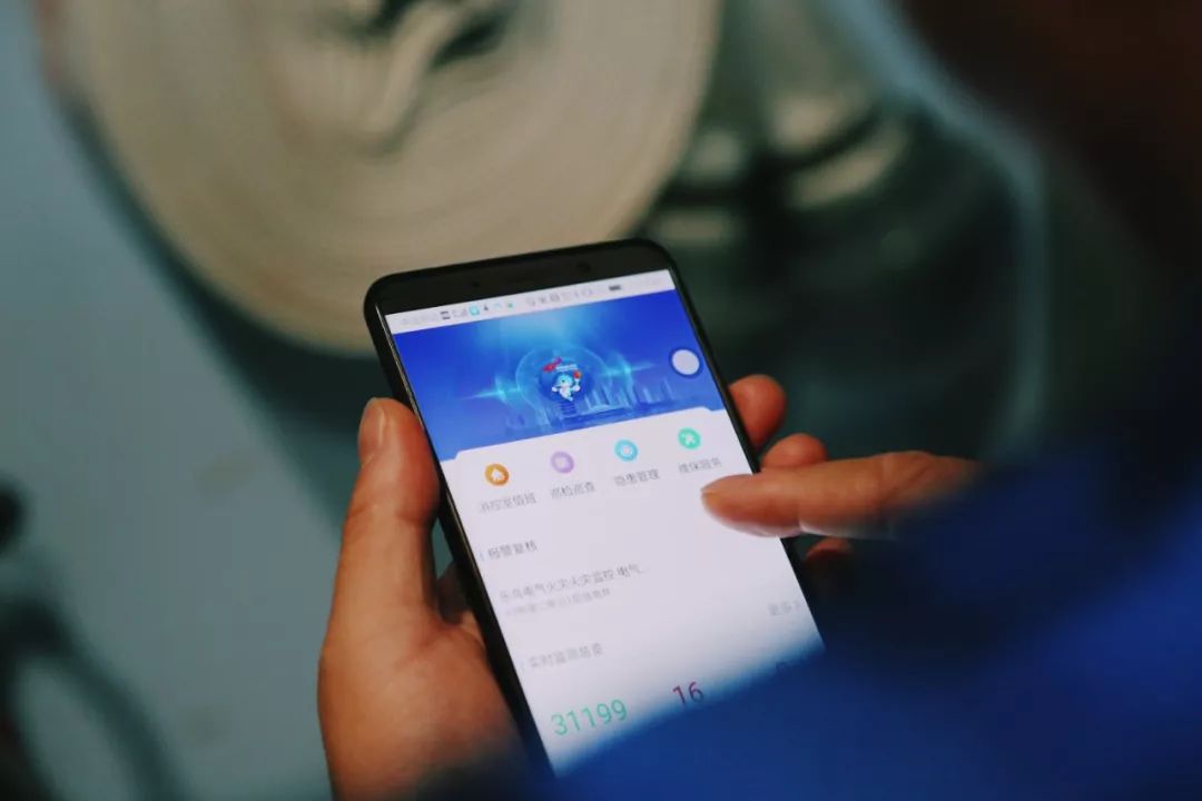 在江夏，我遇见了青松