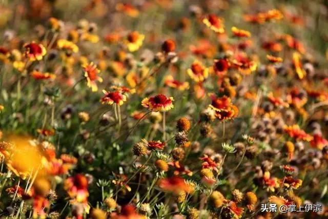 洛阳的万安山,万安山洛阳