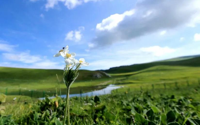 喀拉峻穿越琼库什台几天,喀拉峻穿越琼库什台