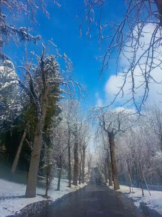 慢游全世界第8期完整,慢游全世界第二季免费观看