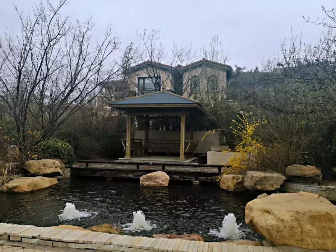 武清沉寂了6年的纯别墅社区，最近你被他.....