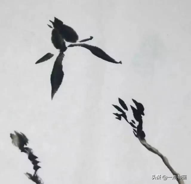 王绣写意牡丹画法步骤,王兮然写意牡丹画法视频大全