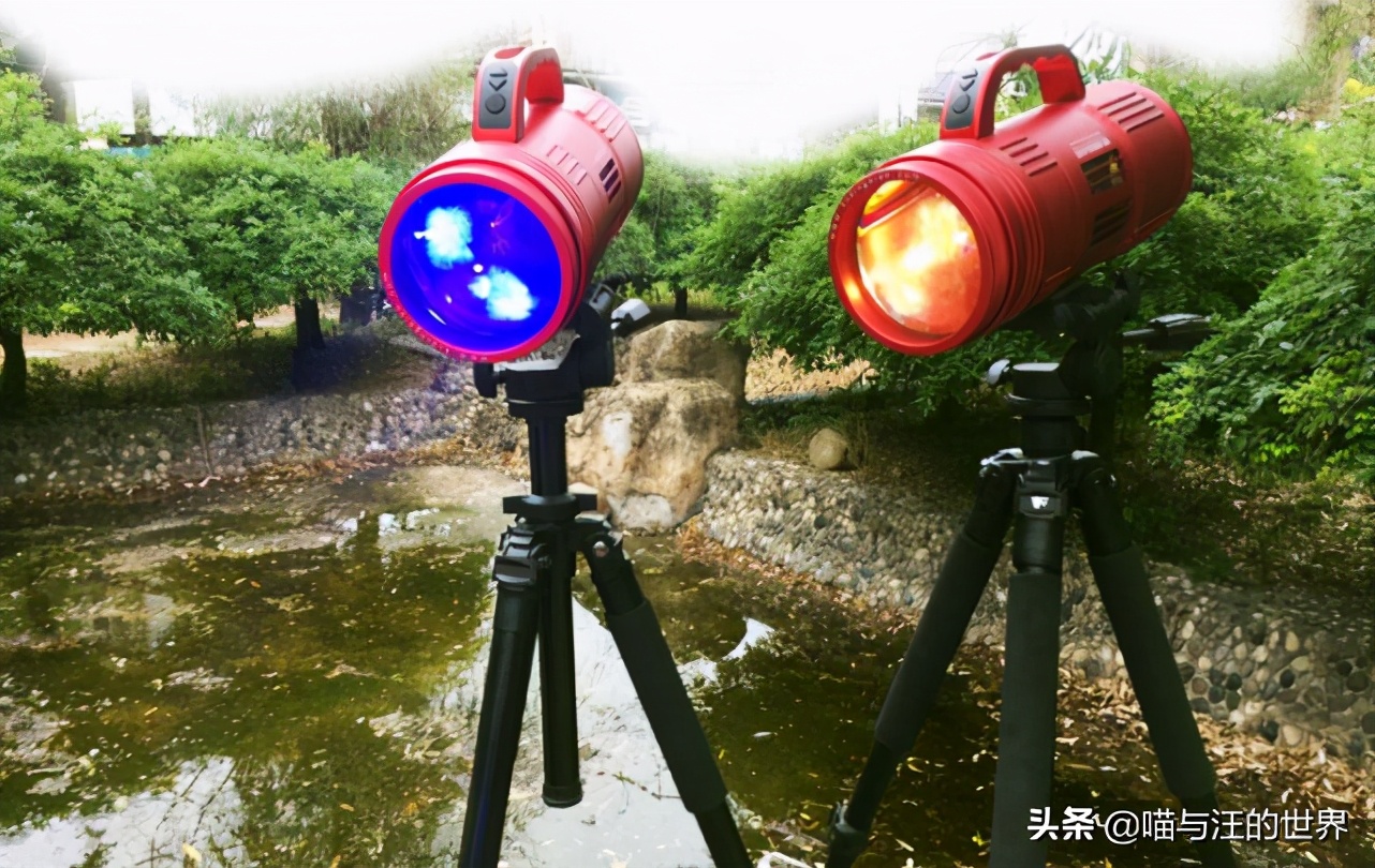 如何实现优雅地砍树?来,抬出我的*四代第**“激光大炮”