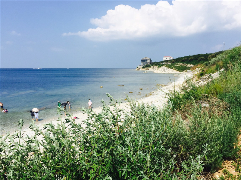 山东省11个5a级景区免费,山东景区排名前十名一日游