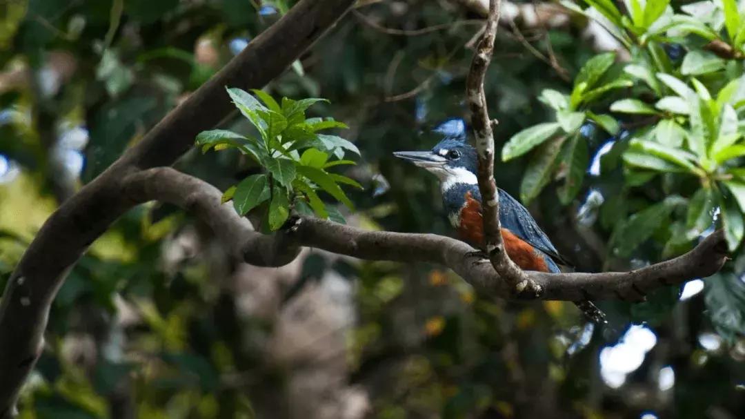 南美最美的3个月,住盐砖酒店,错过等明年