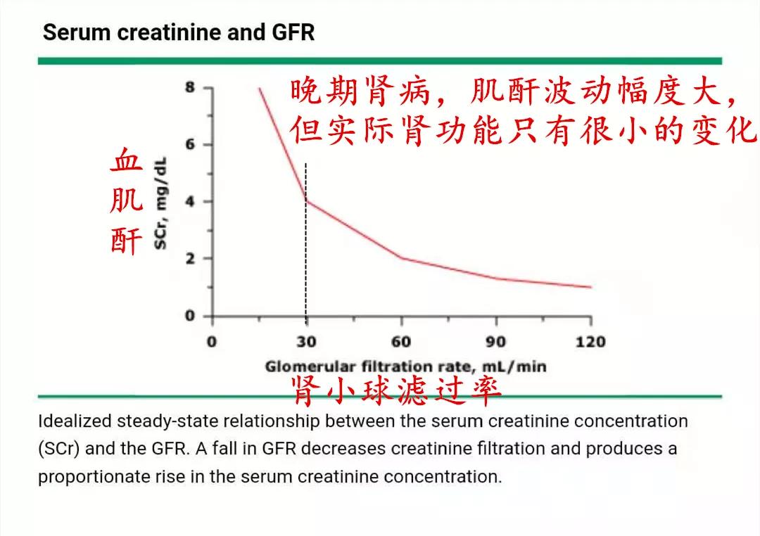 肌酐从1000多降到900多没有用药,肌酐从800降到130了能恢复正常吗
