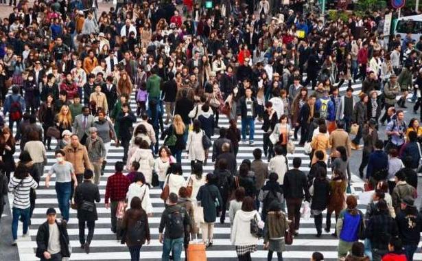 地球上的bug却解决了世界人口增长所需的食品问题