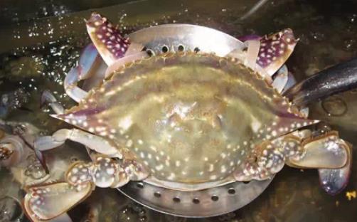 昌邑好吃的美食小店,昌邑有什么好吃的美食吗