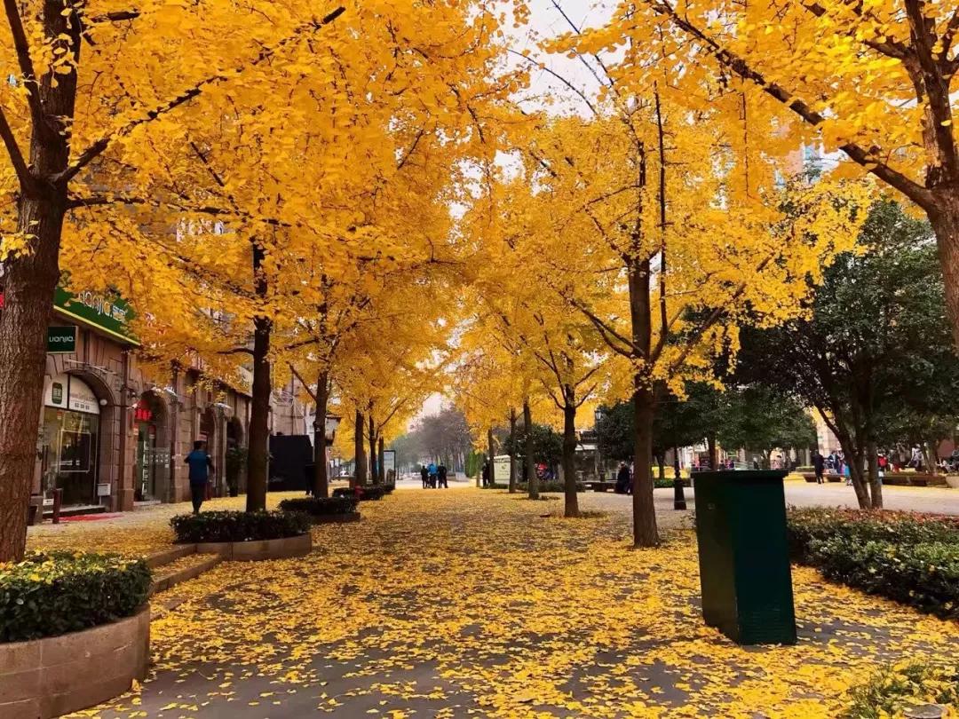现在的北京古北水镇现状,古北水镇的现状