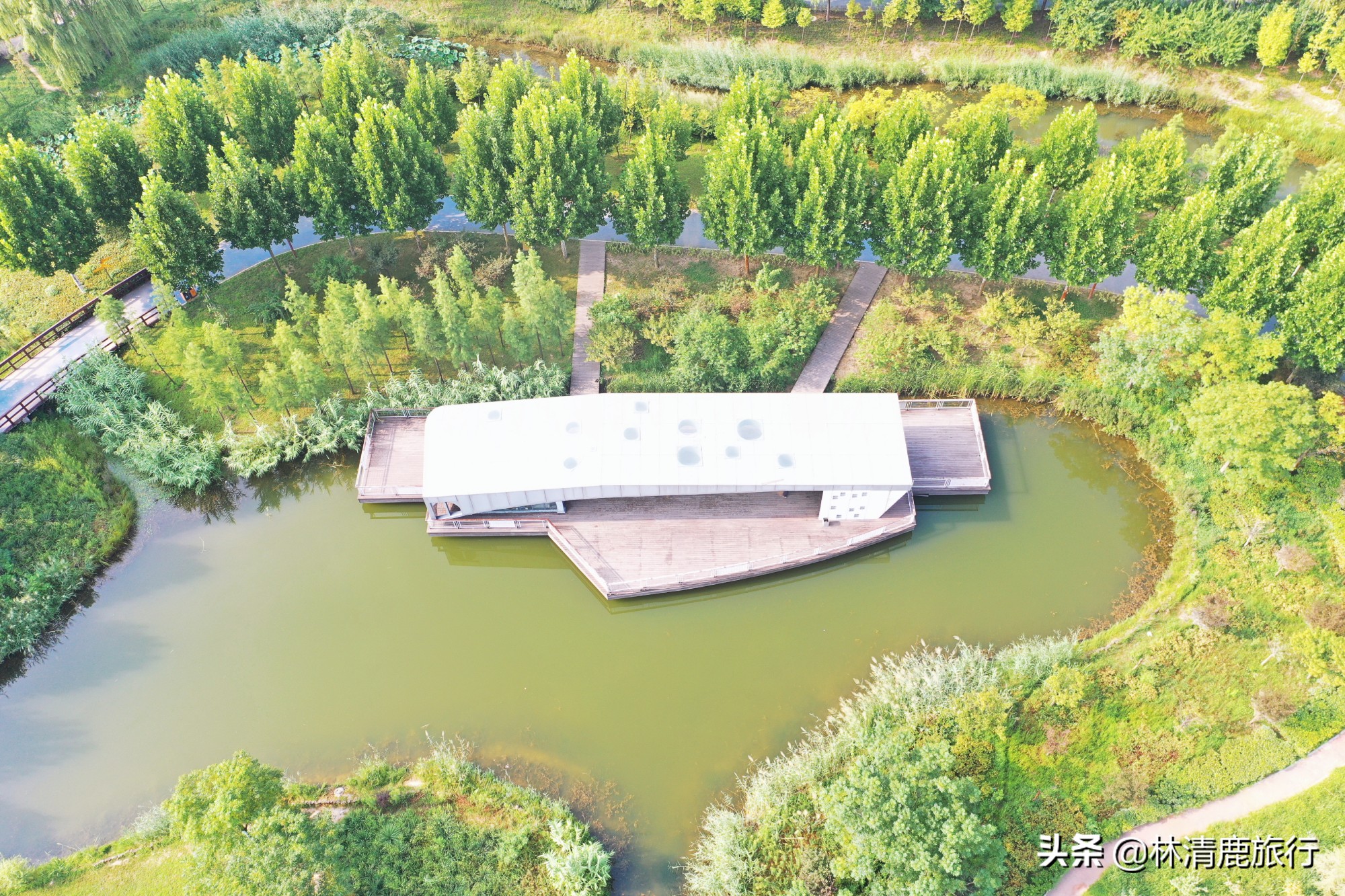 郑州免费湿地公园,郑州周围有水的公园免费景点