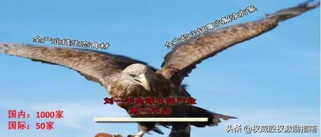 重庆刘一手创始人刘梅资料,刘一手火锅创始人刘梅抖音号