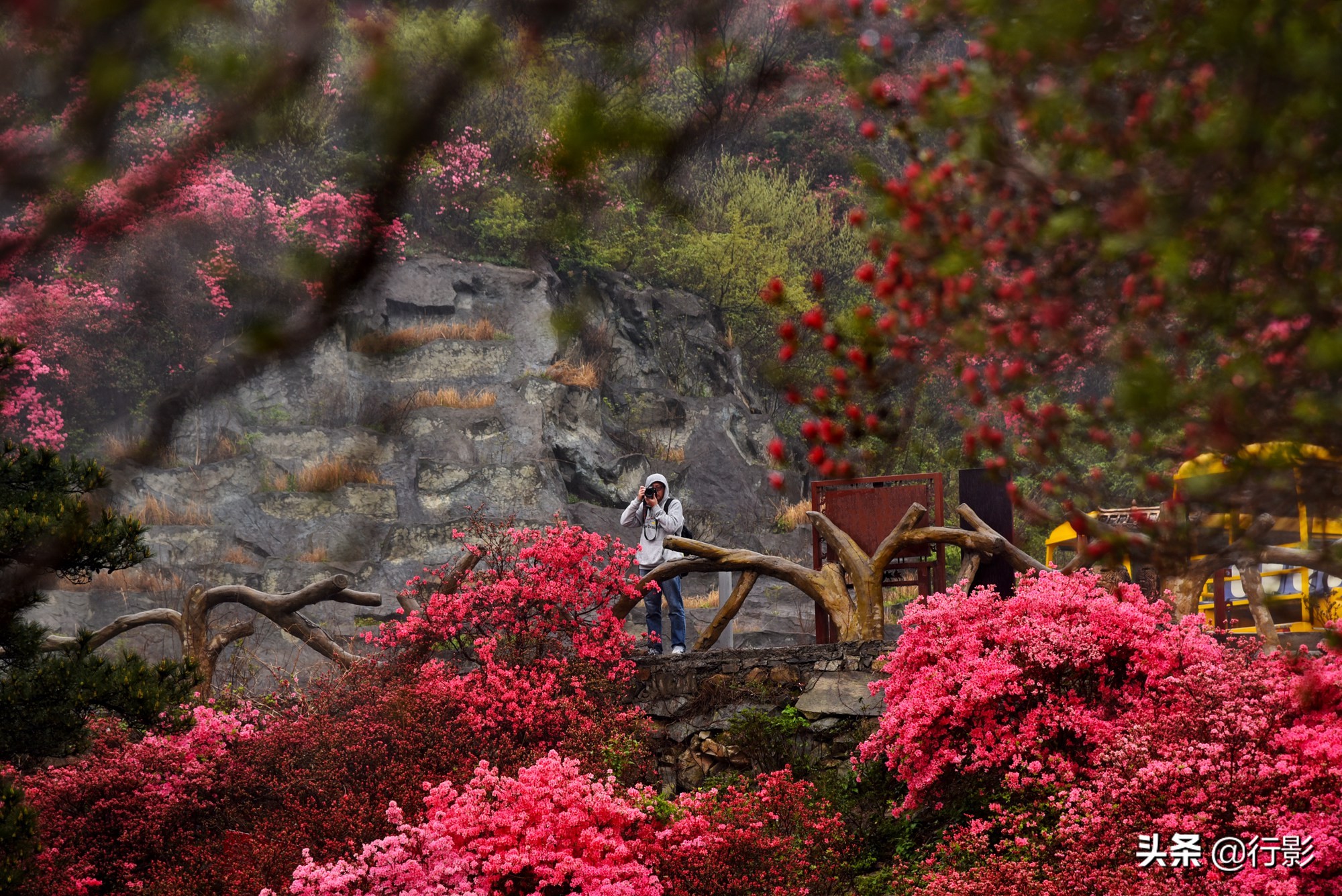 武汉云雾山风景区有什么好玩的,武汉云雾山游玩攻略