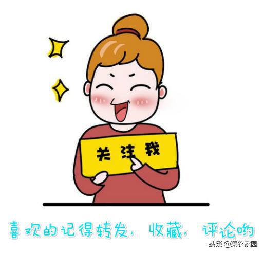 猪年歇后语大全100句,2019年有关猪的歇后语