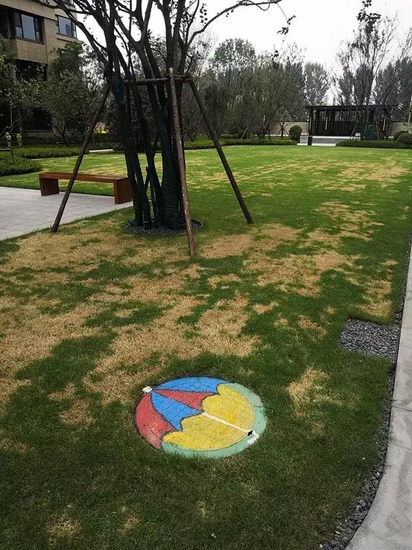 融创珑府还有地没有,融创珑府二期的优缺点