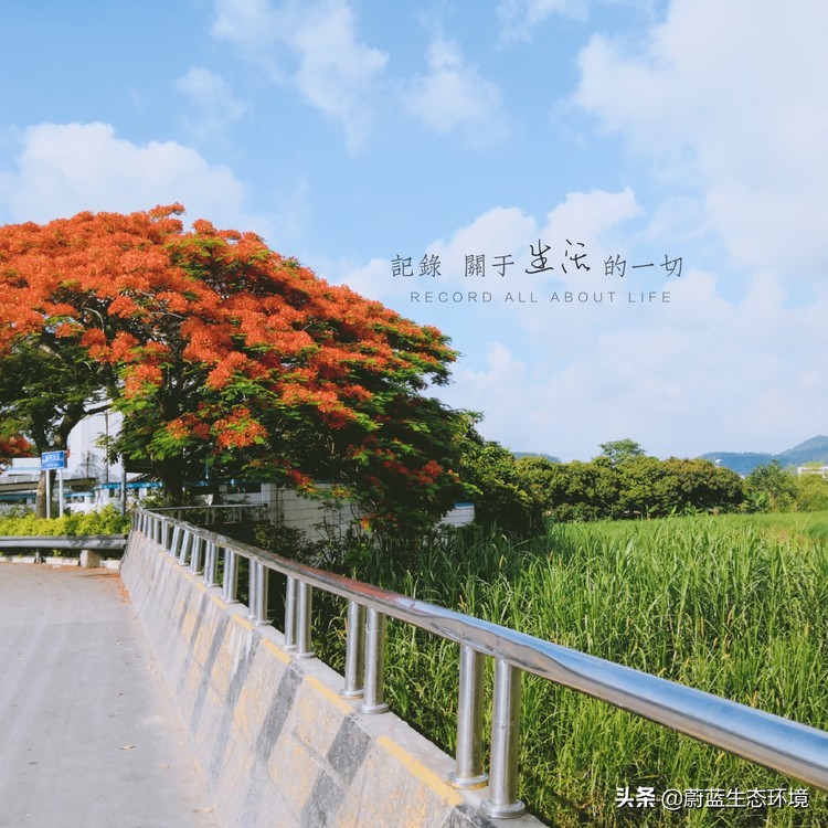 深圳最好的公园东湖公园,深圳东湖公园有哪些风景区