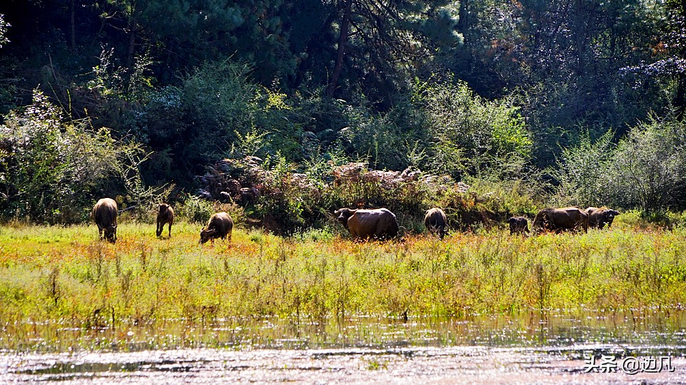 寻甸石板河风景区简介图片,云南寻甸石板河风景区最近视频