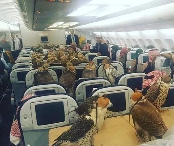 迪拜到底有多壕看了你就知道,真实的迪拜没你想象中那么好