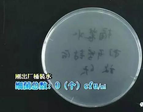 纯净水细菌总数标准,纯净水细菌含量高吗