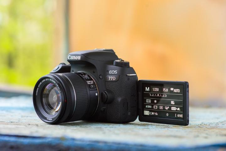 佳能eos77d出片怎么样,佳能EOS入门款