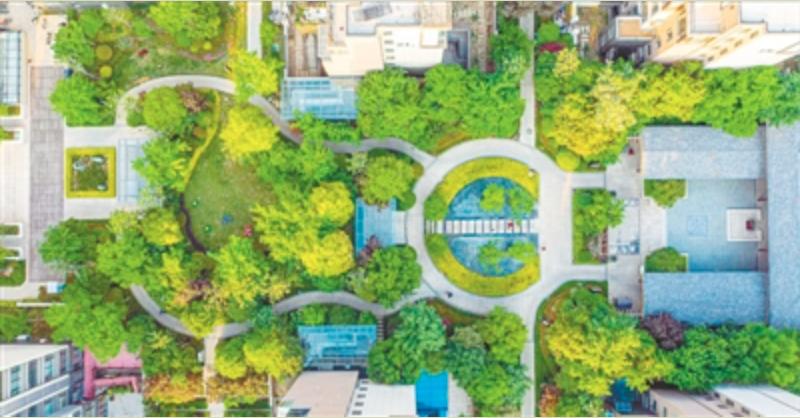 濂嬭繘鍦ㄥ叏闈㈠缓鎴愬皬搴风ぞ浼氬緛绋嬩笂,濂嬭繘鍩庡競寤鸿