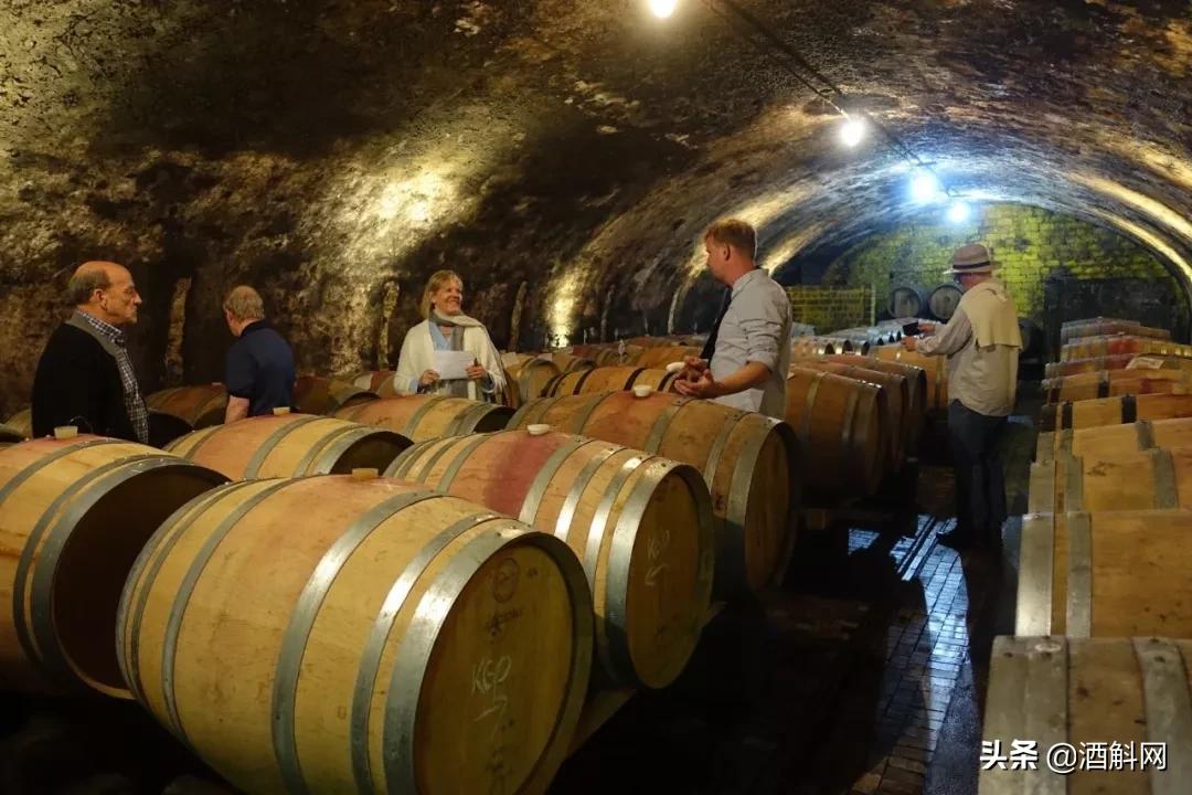 学懂几个德国单词！3月参加ProWein+喝葡萄酒