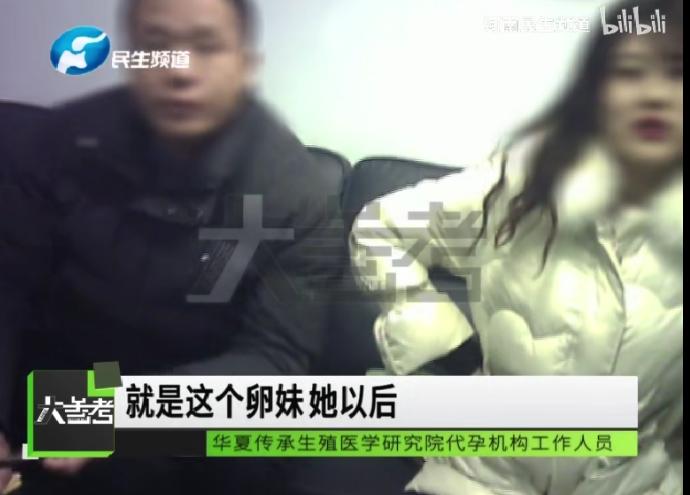 捐卵黑幕,捐卵骗局真人