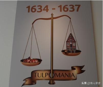 荷兰郁金香当年有多疯狂,郁金香荷兰史