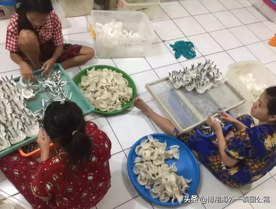 泰国燕窝和马来西亚哪个好,泰国燕窝马来燕窝外表差别