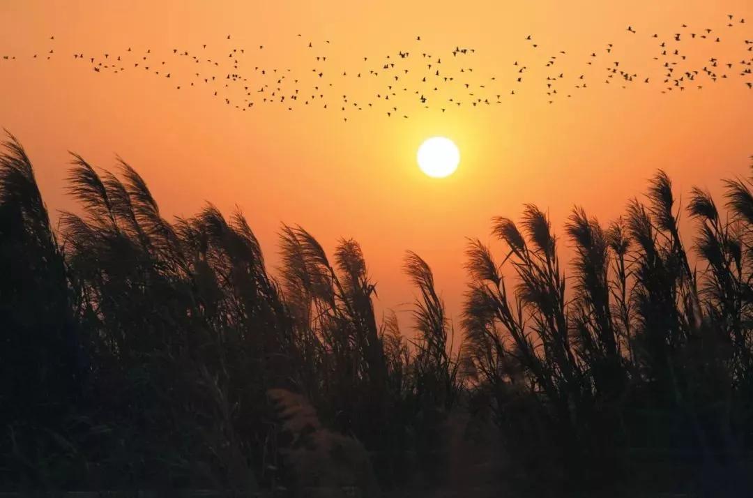 宝藏新公园周末好去处快来打卡,必打卡的宝藏公园