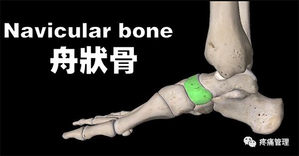 专门改善扁平足的运动,站着改善小腿外翻