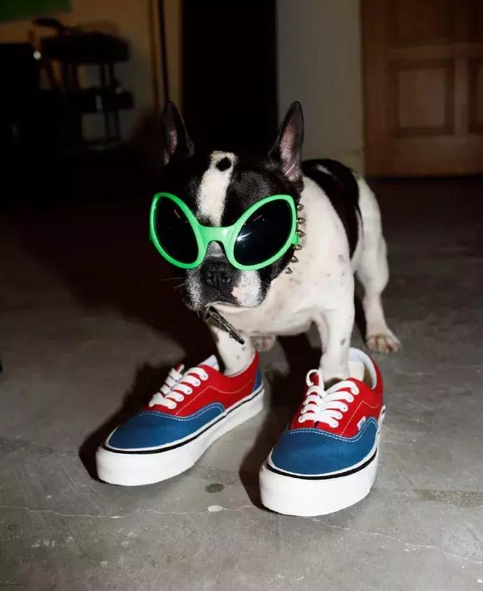 vans潮鞋推荐,潮鞋界扛把子