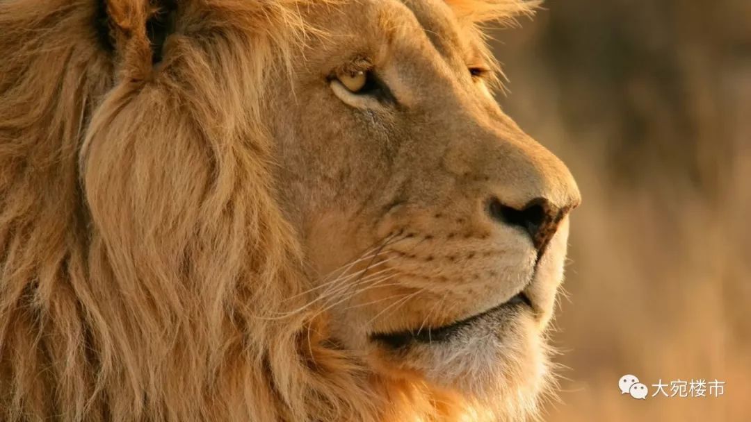 常绿集团置业公司,常绿集团新楼盘