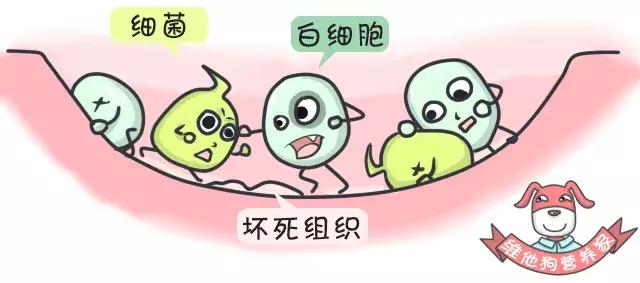 口腔溃疡和痔疮同时发生是上火吗,口腔溃疡了不管它有什么后果