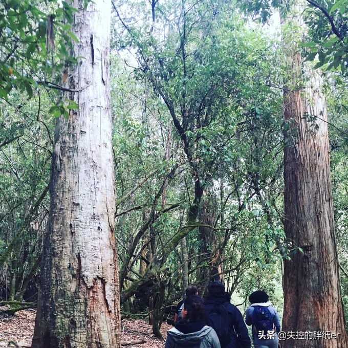 澳大利亚东南自驾游攻略,澳大利亚长途穿越自驾游