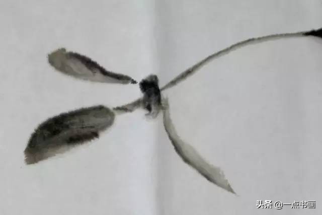 王绣写意牡丹画法步骤,王兮然写意牡丹画法视频大全