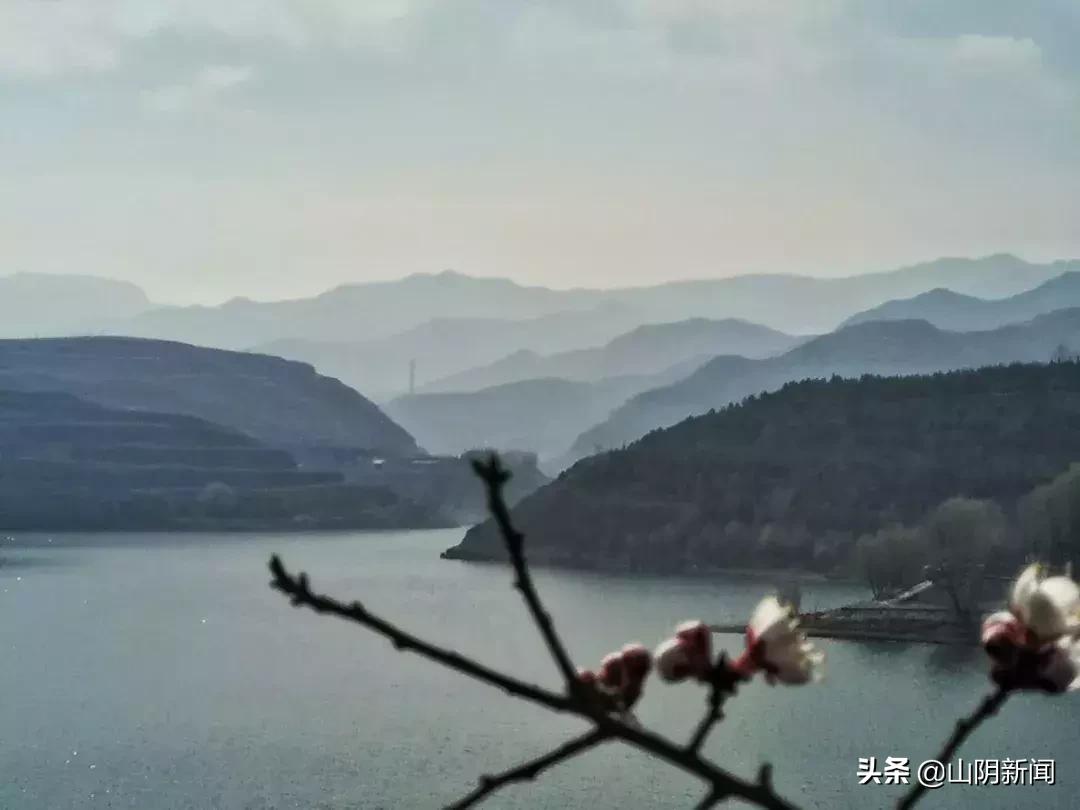 春天里最美的遇见歌曲,春天最美的文案就是油菜花