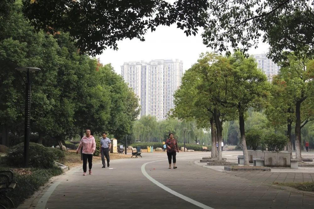 江阴申港镇发展,江阴镇党建