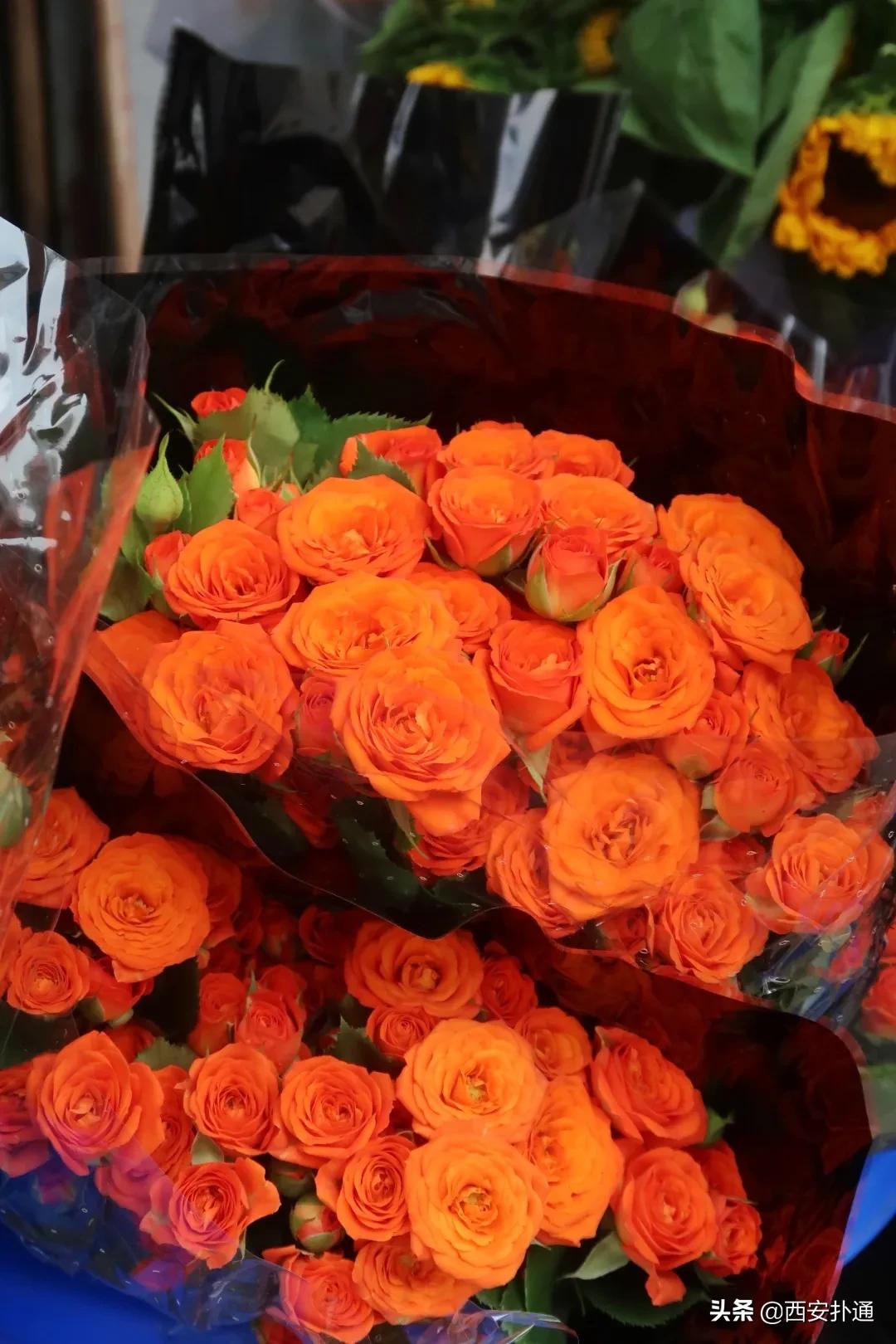 西安花市怎么买花便宜,西安最新花市