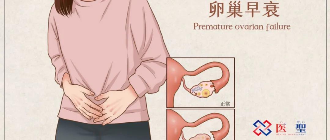 2022年卵巢早衰干细胞治疗成功率,卵巢早衰女性能治好吗