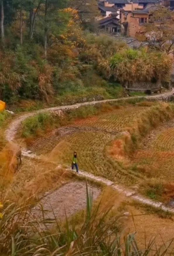 离婚后的生活男人如何度过,离婚后重新开始生活的句子