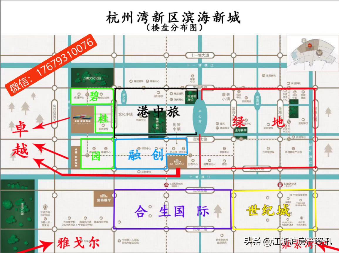 浙江宁波黑马,宁波杭州湾新区发展前景