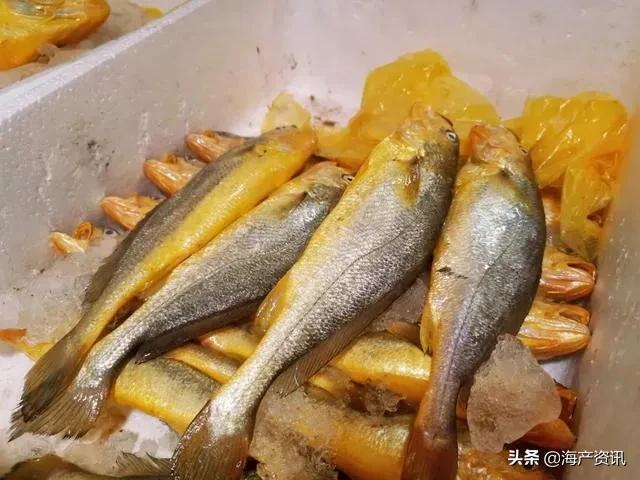 5月8日起全面禁售下架！皮皮虾、梭子蟹冰鲜、活体海鲜都不能吃