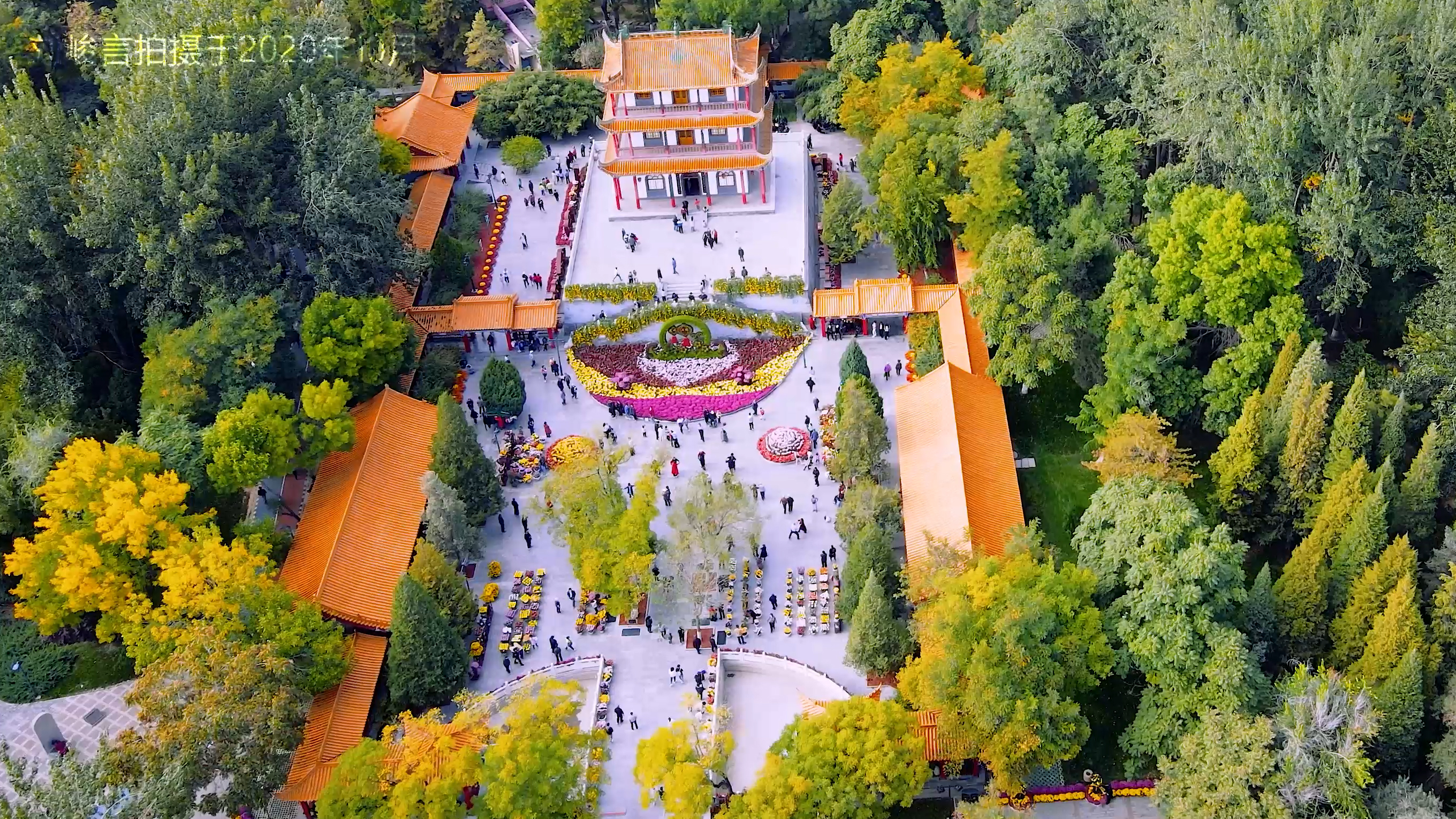 银川凤凰城的传说感想和收获,银川叫凤凰城的由来